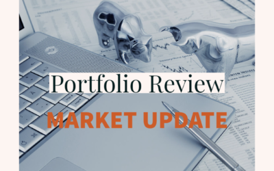 2020 Portfolio Review and Market Update